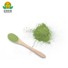 Vegan GMP Factory Supply Spinach Powder